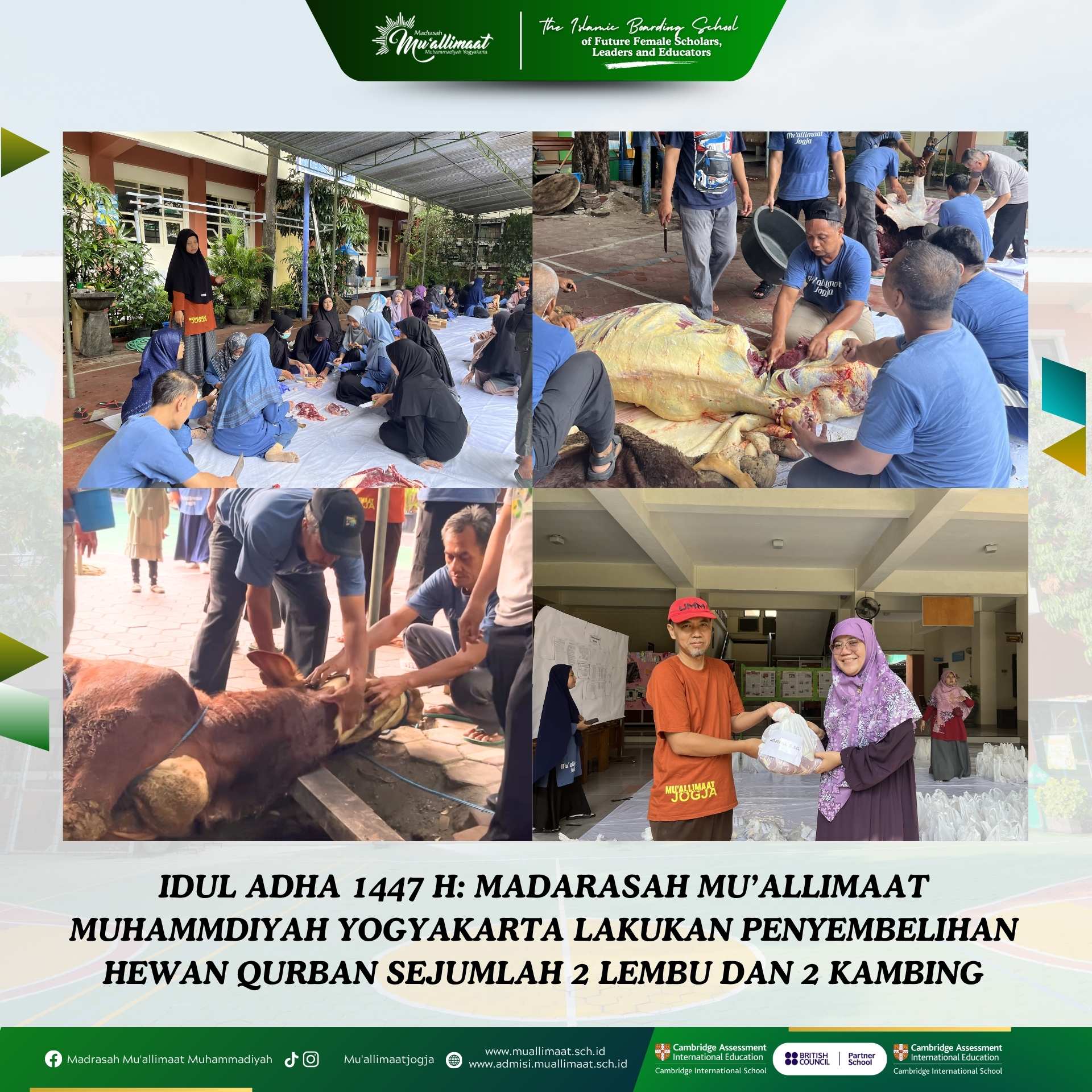 IDUL ADHA 1447 H: MADARASAH MU’ALLIMAAT MUHAMMDIYAH YOGYAKARTA LAKUKAN PENYEMBELIHAN HEWAN QURBAN SEJUMLAH 2 LEMBU DAN 2 KAMBING